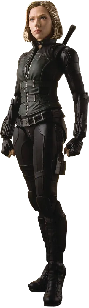 Black Widow Standing Pose PNG Image