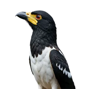 Black-winged Albedo Png 06272024 PNG Image