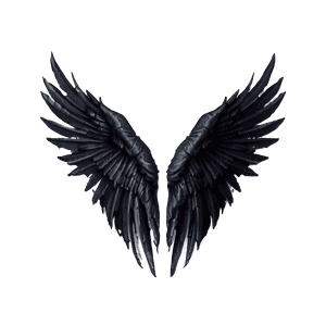 Black Wings of an Angel PNG 60 PNG image with transparent background