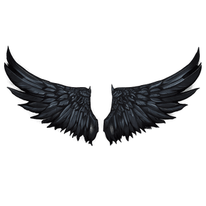 Black Wings of Darkness PNG qkv16 PNG image with transparent background