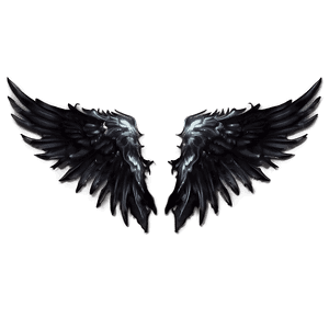 Black Wings of Power PNG cgm52 PNG