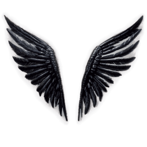 Black Wings of the Sacred PNG ixg PNG