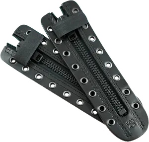 Black Zipperwith Metal Grommets PNG Image