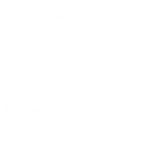 Blackand White Bird Icon PNG Image