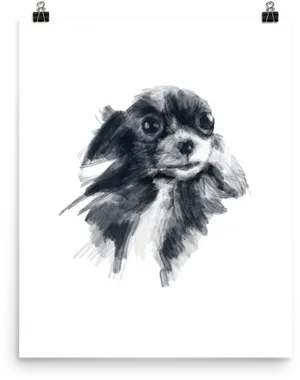 Blackand White Chihuahua Sketch PNG Image