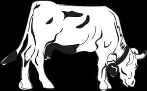 Blackand White Cow Illustration PNG image with transparent background