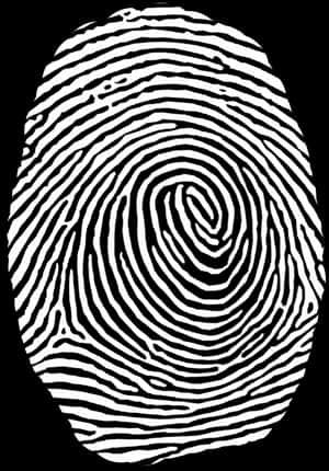 Blackand White Fingerprint Pattern PNG image with transparent background