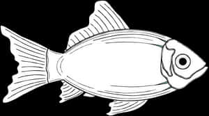 Transparent Fish Fins Png - Gambar Ikan Laut Animasi, Png Download PNG image with transparent background