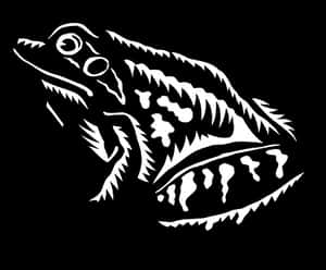 Blackand White Frog Illustration PNG image with transparent background