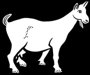 Blackand White Goat Illustration PNG image with transparent background