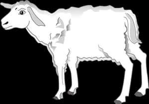 Blackand White Lamb Illustration PNG