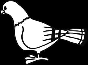 Blackand White Pigeon Illustration PNG image with transparent background