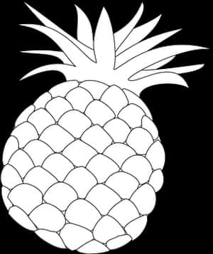 Blackand White Pineapple Drawing.jpg PNG image with transparent background