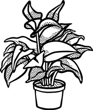 Blackand White Potted Plant Illustration PNG Image