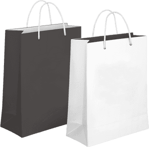 Shopping Bag Png Transparent Image - Paper Shopping Bag Png, Png Download PNG