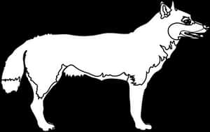 Blackand White Wolf Illustration PNG image with transparent background