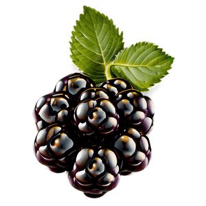 Blackberry Cluster PNG ipu PNG image with transparent background
