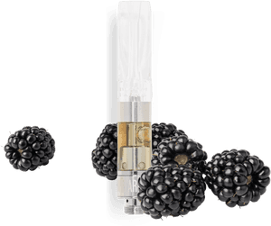 Blackberry, HD Png Download PNG image with transparent background