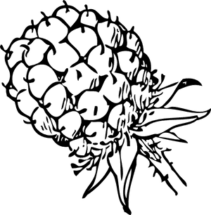 Blackberry Svg Clip Arts - Blackberry Clip Art, HD Png Download PNG image with transparent background