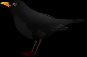Blackbird Vector Illustration PNG image with transparent background