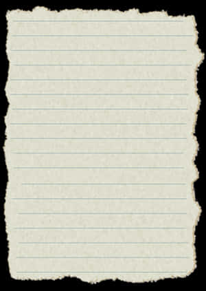Blank_ Antique_ Paper_ Texture PNG image with transparent background