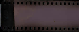 Real Film Strip Png, Transparent Png PNG image with transparent background