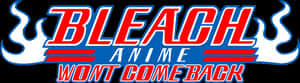 Bleach Anime Return Statement PNG image with transparent background