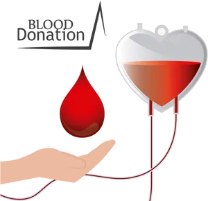 Blood Donation Concept Illustration PNG Image