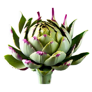 Blooming Artichoke Png Gtg90 PNG Image