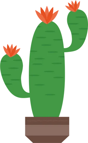 Blooming Cactus Vector Illustration PNG Image