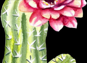 Blooming Cactus Watercolor Art PNG with transparent background