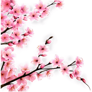 Blooming Cherry Blossom Landscape PNG 96 PNG image with transparent background