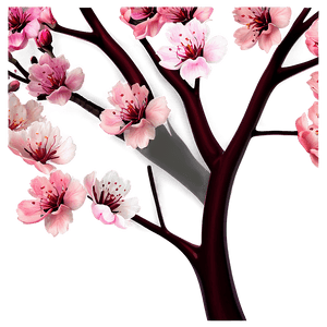 Blooming Cherry Blossoms PNG 05212024 PNG image with transparent background