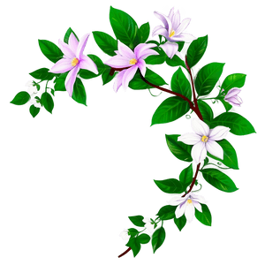 Blooming Clematis Vine.png PNG image with transparent background