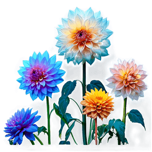 Blooming Dahlia Garden PNG wnc95 PNG image with transparent background