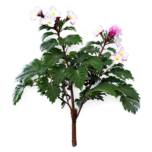 Blooming Flower Bush Png Dps88 PNG Image