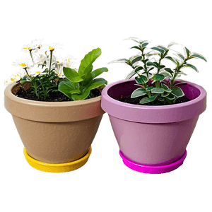 Blooming Flower Pots PNG dcn PNG