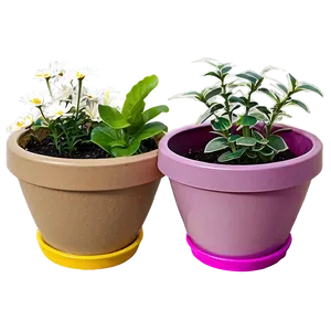 Blooming Flower Pots Png Dcn PNG Image