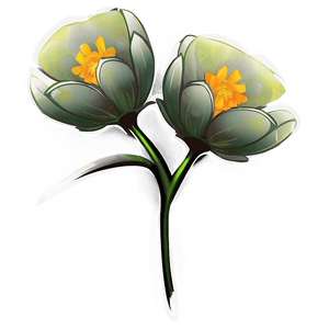 Blooming Flower Transparent PNG ikb PNG