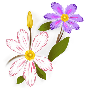Blooming Flower Transparent PNG meu PNG