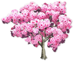 Blooming Pink Cherry Blossom Tree PNG Image