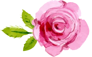 Blooming Pink Rose Illustration PNG Image