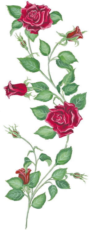 Transparent Rose Vine Png - Rose And Vine Tattoo, Png Download PNG image with transparent background