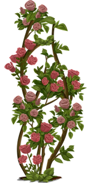 Blooming Rose Vine Artwork PNG Image