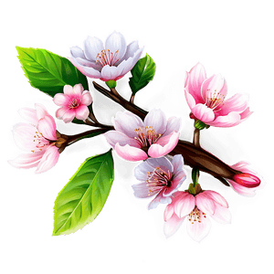 Blooming Sakura PNG dog30 PNG