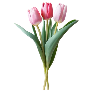 Blooming Tulips Spring Png Upo63 PNG Image