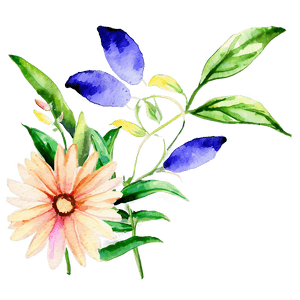 Blooming Watercolor Flowers PNG 05252024 PNG image with transparent background