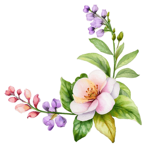 Blooming Watercolor Flowers PNG ajj PNG image with transparent background