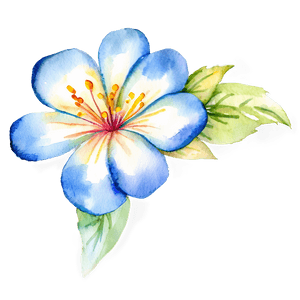 Blooming Watercolor Flowers PNG isx54 PNG image with transparent background