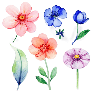 Blooming Watercolor Flowers PNG nml62 PNG image with transparent background